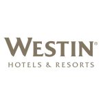 Westin Logo Font